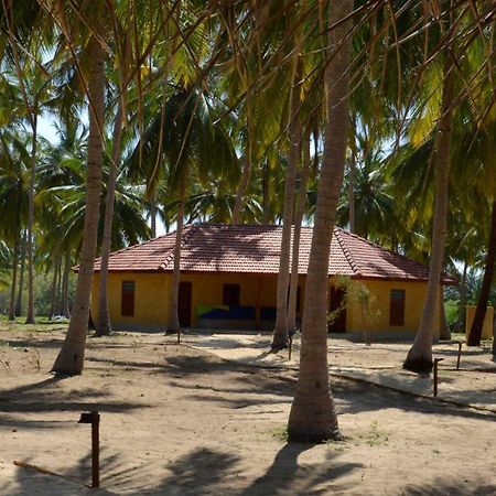Kitelantis Hotel And Resort Kalpitiya Værelse billede