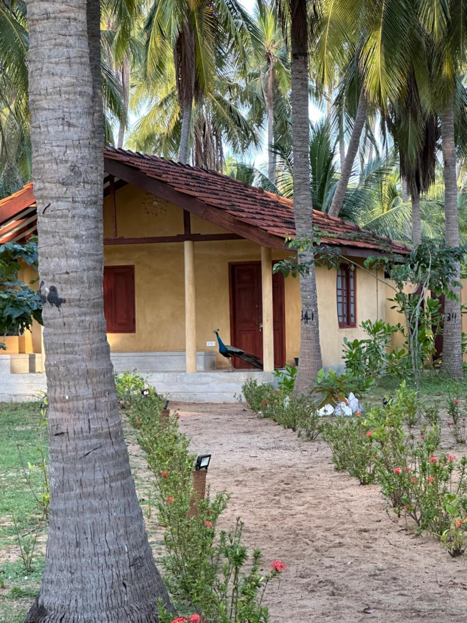 Kitelantis Hotel And Resort Kalpitiya Eksteriør billede