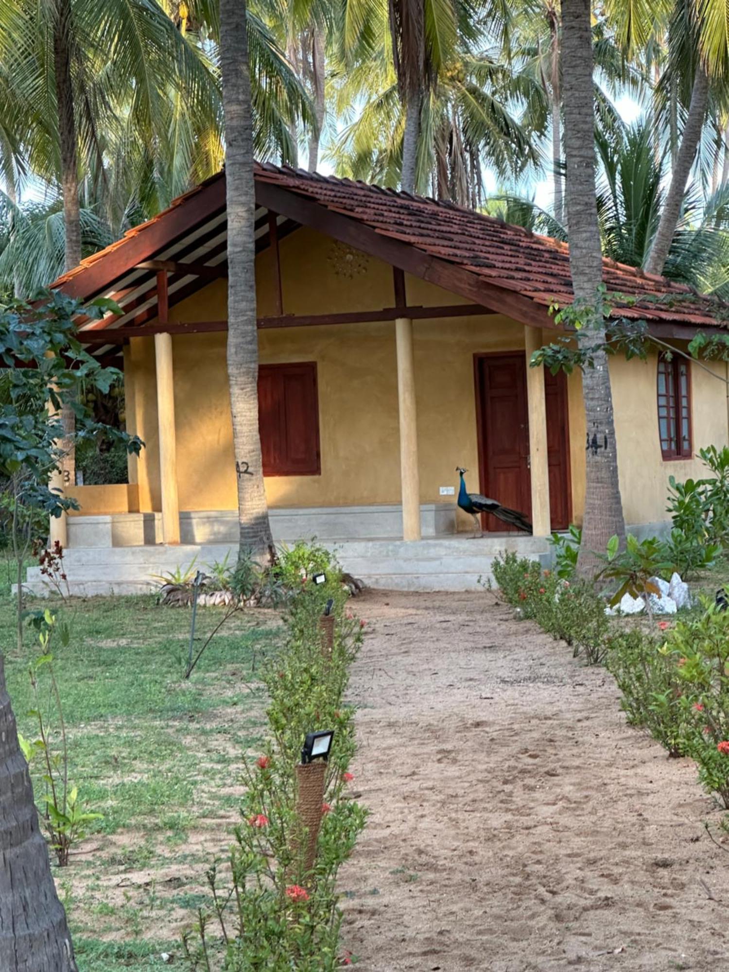 Kitelantis Hotel And Resort Kalpitiya Eksteriør billede