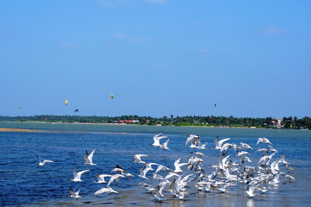 Kitelantis Hotel And Resort Kalpitiya Eksteriør billede